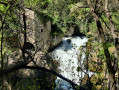 Moulin de la Foux