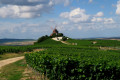 En balcon de la montagne de Reims sur la vallée de la Vesle En balcon de la montagne de Reims sur la vallée de la Vesle