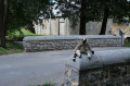 Moulin de Wallers en fagne