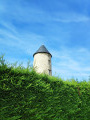 Verdure entre Treillières et La Chapelle-sur-Erdre