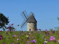 Moulin