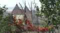 Collines et moulins de Mas-Saintes-Puelles