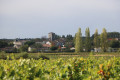 Moulis en Médoc