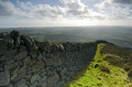 Mourne Wall