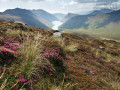 Mournes