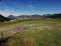 Moutons au col d'Escot