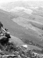Mouton, Miramar