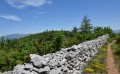 Mur de la Peste