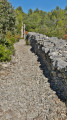 Mur de la peste