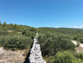 Autour de Fontaine de Vaucluse avec vue sur le Ventoux