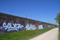 Mur
