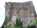 Mur