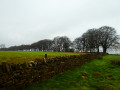 Cotswolds - Hailes Abbey