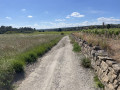 Muret en pierres sèches