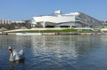 Confluence : site, quartier et musée Confluence : site, quartier et musée