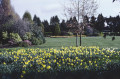Musgrave Park - Belfast Musgrave Park - Belfast
