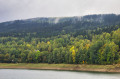 Mystische Stimmung im herbstlichen Wald