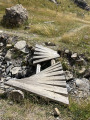 Naindigene