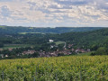 Autour de Saâcy-sur-Marne par les vignobles et le bord de Marne