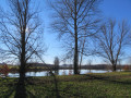 Nature au repos