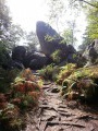 Der Weg der Aussichtspunkte (Sentier des Belvédères) - Fontainebleau