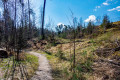 Naturnaher Wanderpfad am Röthenbach