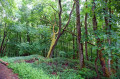 Naturpark Haßberge
