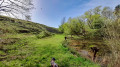 Naturschutzgebiet Froschweiher