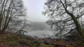 Naturschutzgebiet Hirschberg- und Heideweiher in der Gabellohe