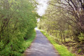 NCN73 at Knockentiber