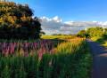 NCN73 between Irvine and Kilmarnock