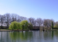 Near Windsor