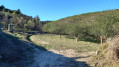 Nébian-sentier vers l'oppidum de Navis
