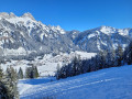 Aufstieg zur Krinnenalpe im Tannheimer Tal