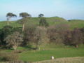 Nether Stowey Castle Mount