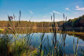 Durch den Dennenloher Wald zum Großlellenfelder Moor