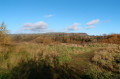 Newtownabbey