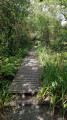 nice footbridge next to the reservoir