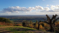 Nice view to the South from Leith Hill