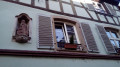 Niche