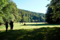 Nisteraue in Limbach Nisteraue in Limbach