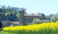Nivolas Vermelle