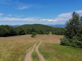 Nonselkopf