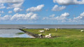 Nordsee bei auflaufendem Wasser