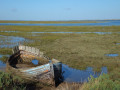 Norfolk Coast Path - Cley to Wells-next-the-Sea