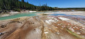 Norris Geyser Basin