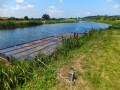 North Walsham to Bacton Woods