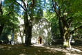 Notre dame de Lure