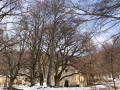 Notre dame de Lurre