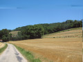 Notre -Dame de Milin